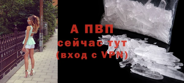 дмт Богородск