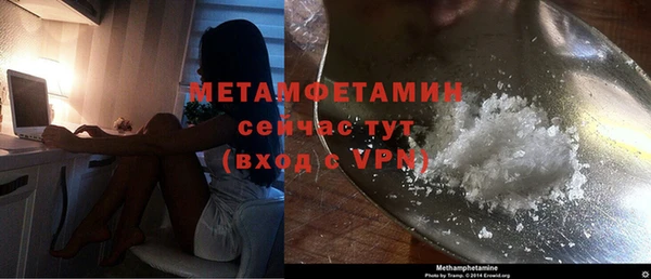 сатива Беломорск
