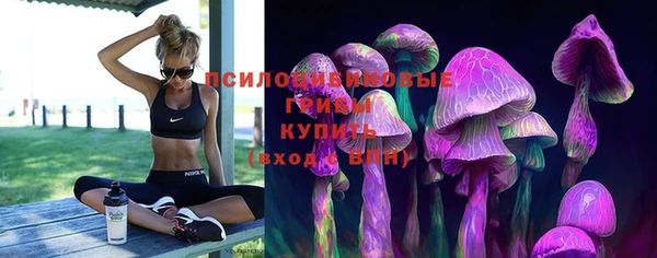 MDMA Богородицк
