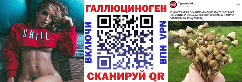 Галлюциногенные грибы GOLDEN TEACHER Медногорск